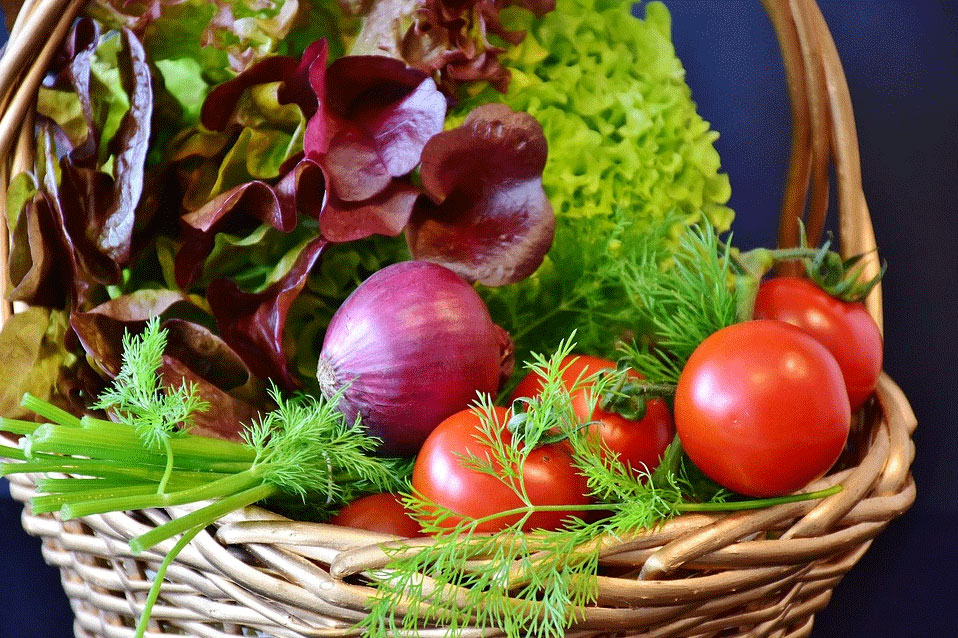 picknickmand met salade