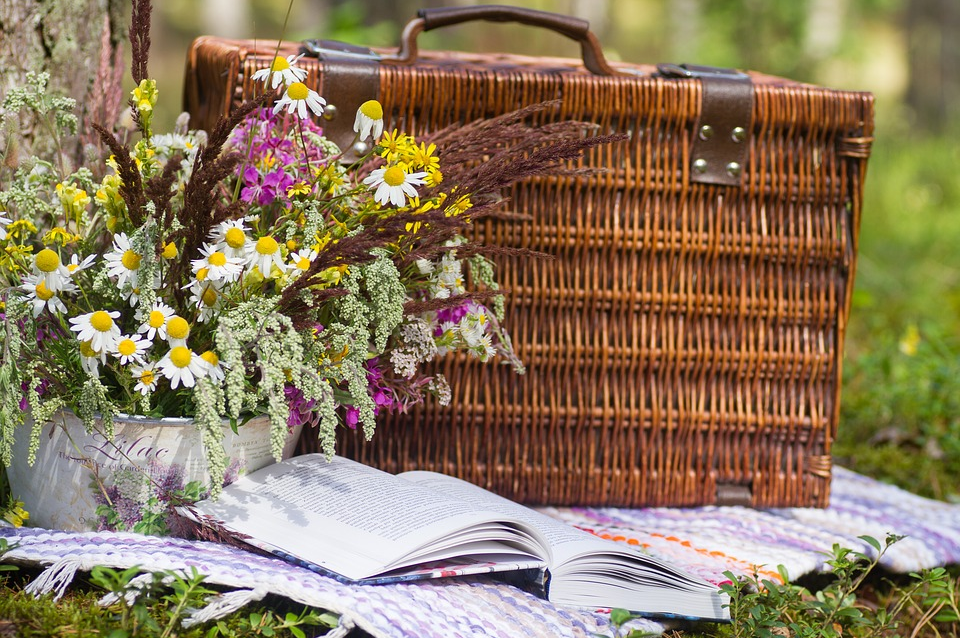 Picknickmand in het bos