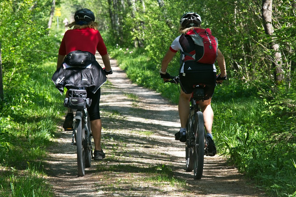 fietsen, vrije tijd, bos, fietsers, de natuur, mountainbike